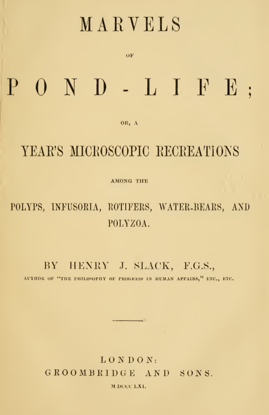 A book cover with black text
Description automatically generated