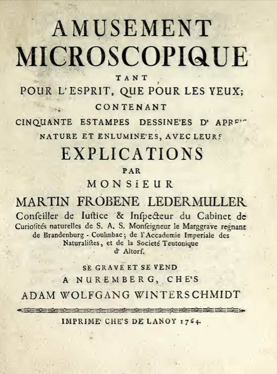 A white paper with black text
Description automatically generated