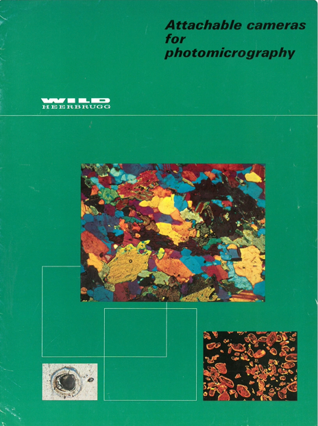 A green cover with a green background
Description automatically generated with medium confidence
