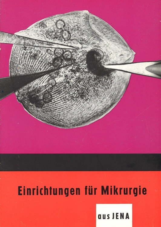 A cover of a book
Description automatically generated