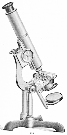 Ernest Goldbacher’s catalogue (1879)